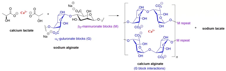 لاکتات کلسیم با بخش های گلورونات آلژینات سدیم واکنش می دهد و آلژینات کلسیم متقاطع تولید می کند