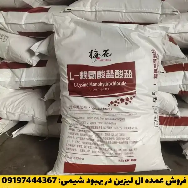 فروش عمده ال لیزین