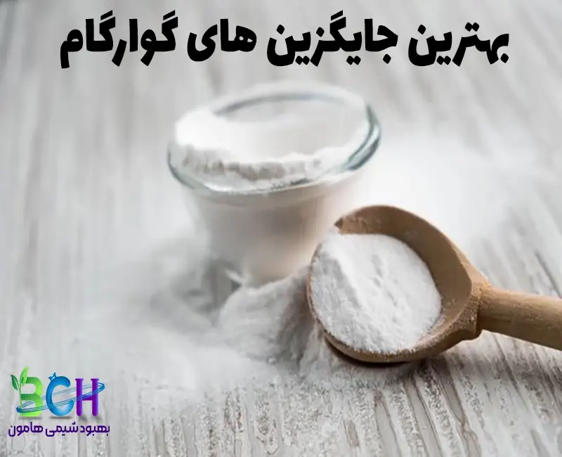 بهترین جایگزین های گوارگام