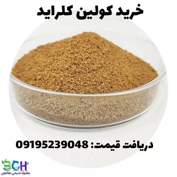 Animal Feed Additives CAS 67-48-1 Choline Chloride 60% Choline Chloride