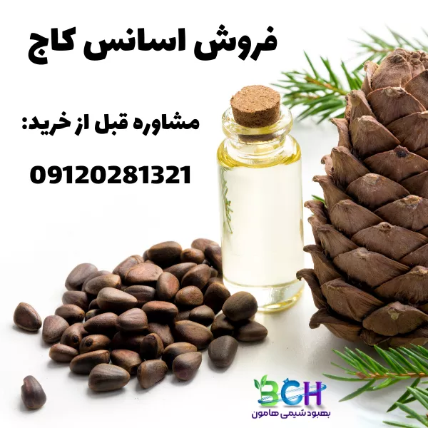 فروش اسانس کاج