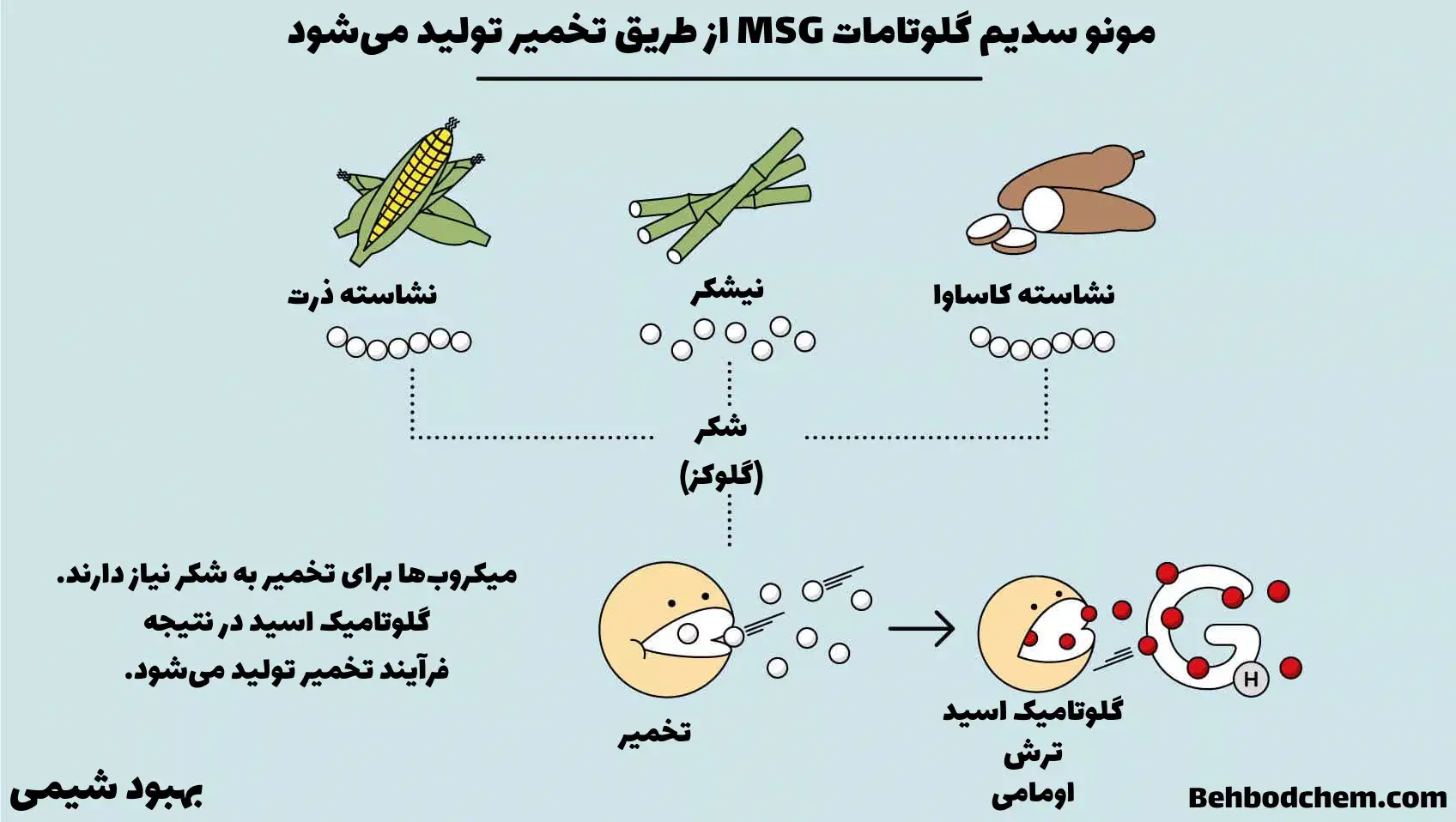 فرآیند تخمیر چگونه کار می کند؟ مرحله 1