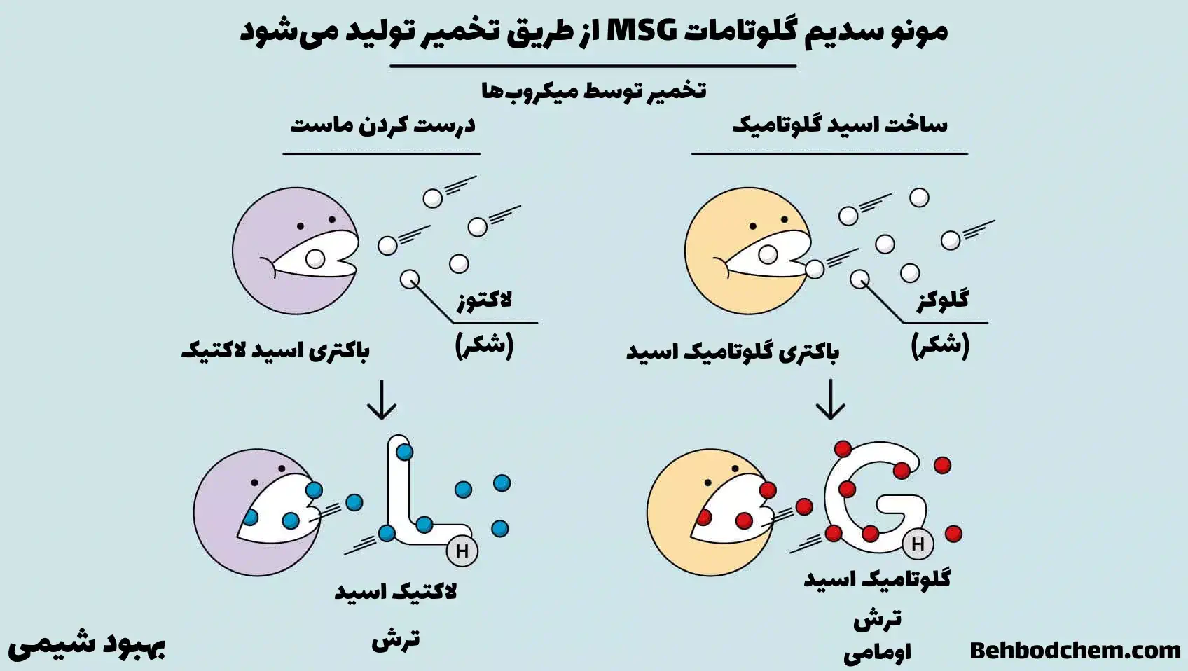 MSG چگونه ساخته می‌شود؟