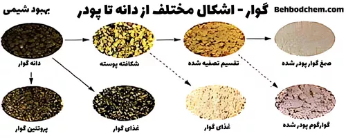 گوار - اشکال مختلف از دانه تا پودر