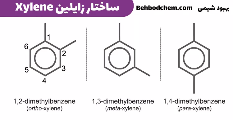 ساختار زایلین