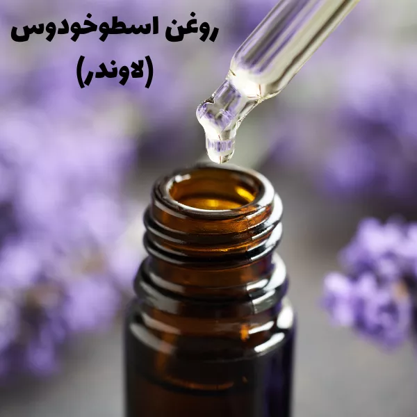 روغن اسطوخودوس برای از بین بردن حشرات تخت خواب