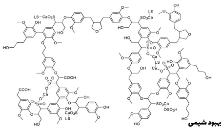 ساختار بخش پلیمری لیگنوسولفونات کلسیم
