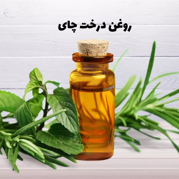 روغن درخت چای برای از بین بردن حشرات تخت خواب