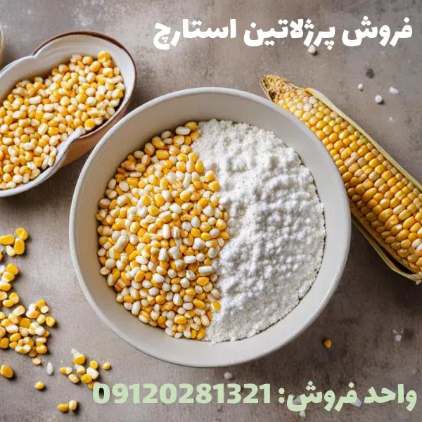 خرید پرژلاتین استارچ گرید دارویی غذایی