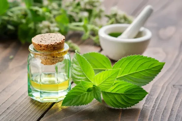 عصاره های گیاهی و آداپتوژن ها