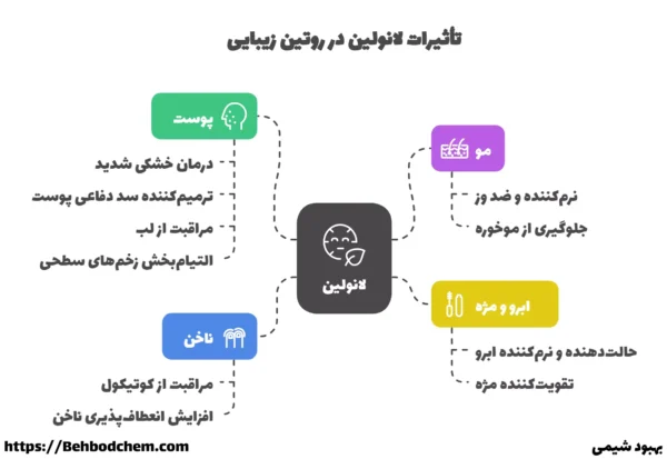 تأثیر به کارگیری لانولین در روتین زیبایی