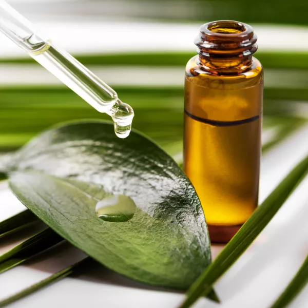 روغن چای سبز