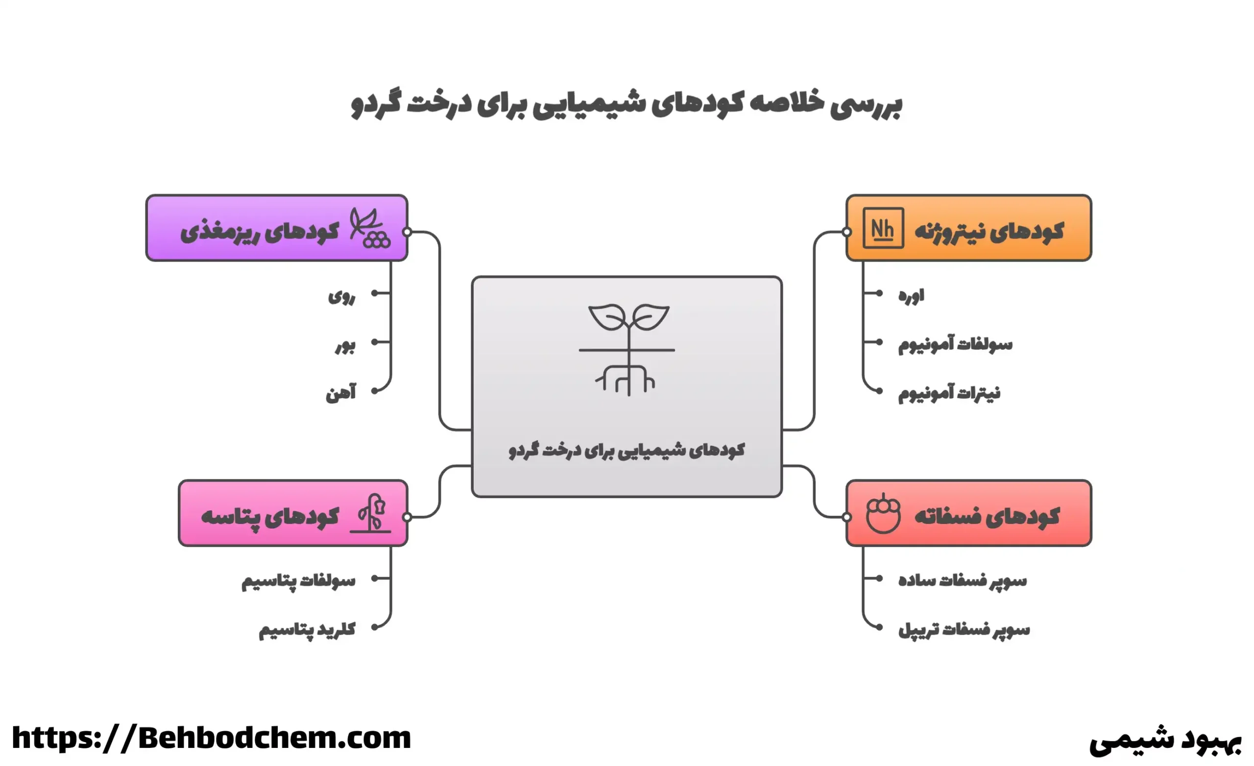 بهترین کودهای شیمیایی برای درخت گردو