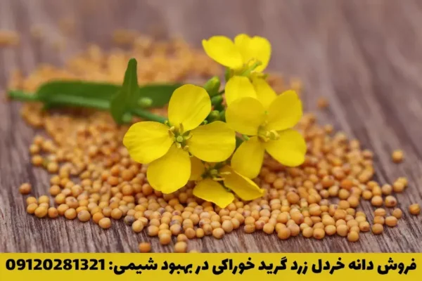 خرید دانه خردل زرد خوراکی