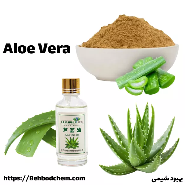 اسانس آلوئه ورا چیست؟