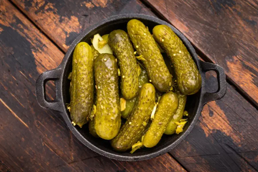 مقدمه ای علمی بر نگهداری خیارشور