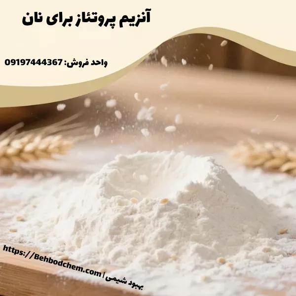 آنزیم پروتئاز برای نان