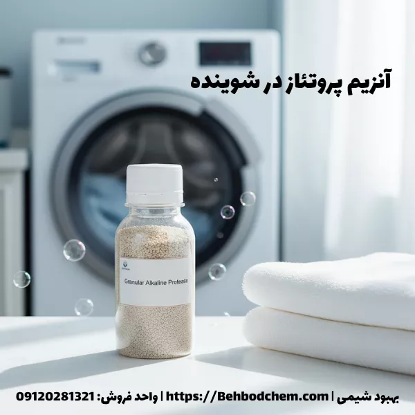 آنزیم پروتئاز در شوینده