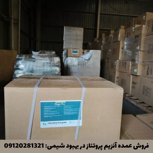 فروش عمده آنزیم پروتئاز با بهترین کیفیت و قیمت
