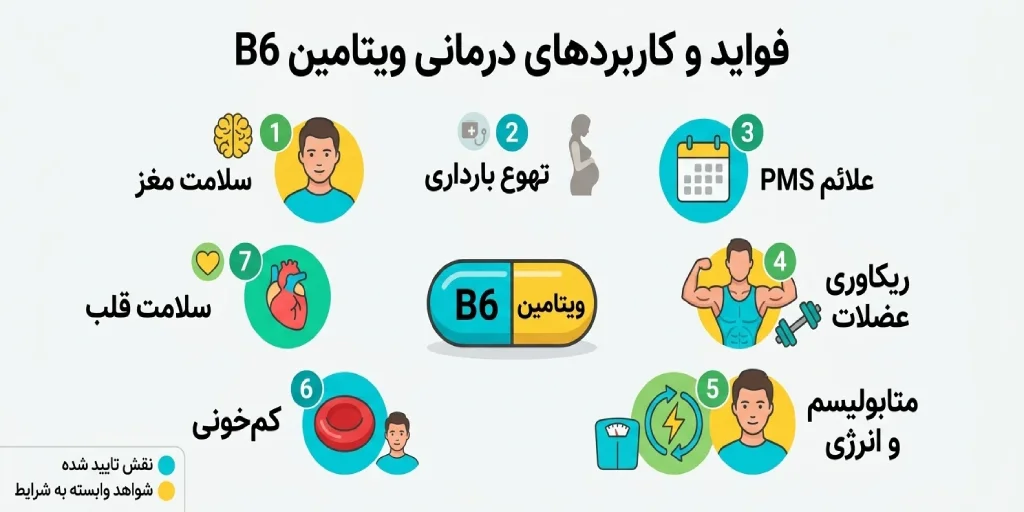 فواید و کاربردهای ویتامین B6