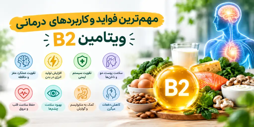 مهم‌ترین فواید و کاربردهای درمانی ویتامین B2