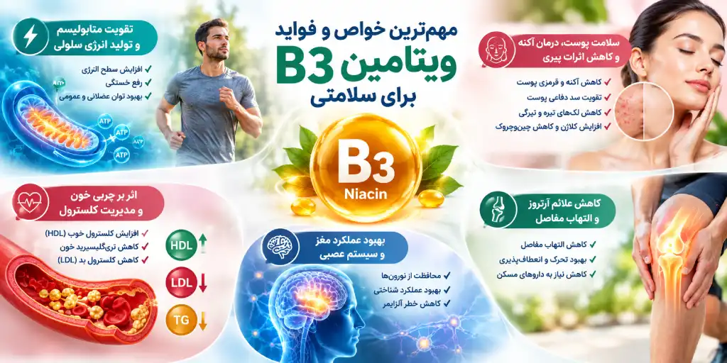 مهمترین خواص و فواید ویتامین B3 برای سلامتی