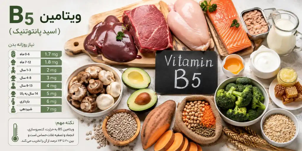 میزان نیاز روزانه بدن به ویتامین B5