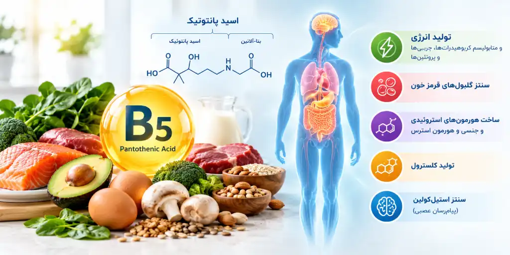 ویتامین B5 (اسید پانتوتنیک) چیست