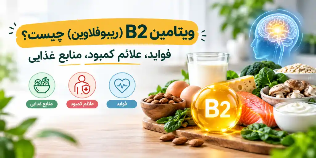 ویتامین B2 (ریبوفلاوین) چیست