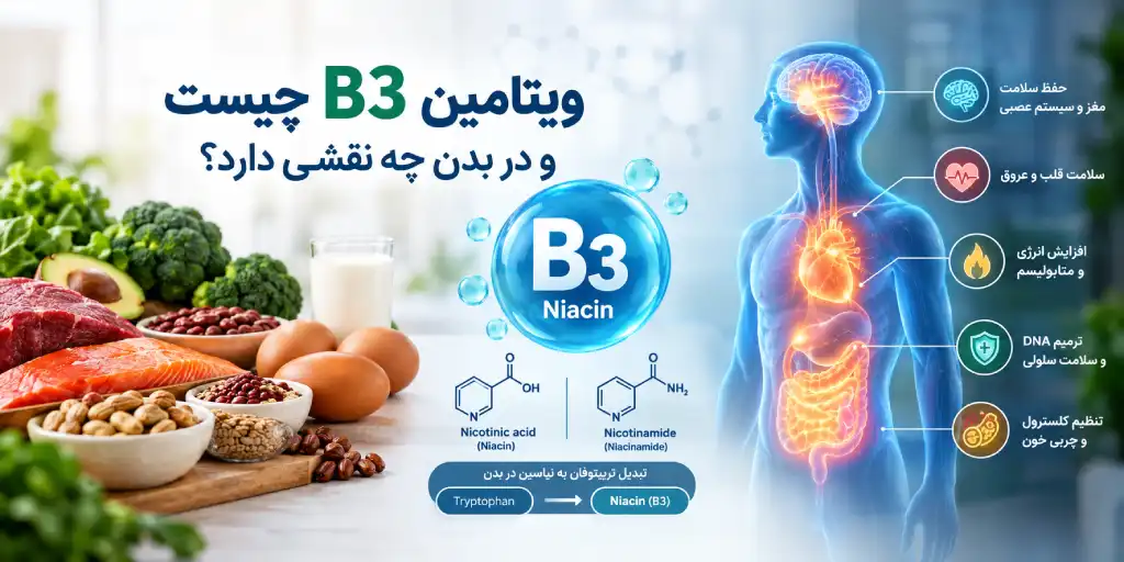 ویتامین B3 (نیاسین) چیست؟