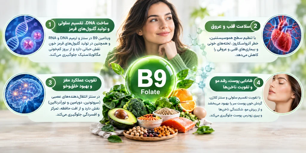 مهم‌ترین فواید ویتامین B9 برای سلامتی بدن