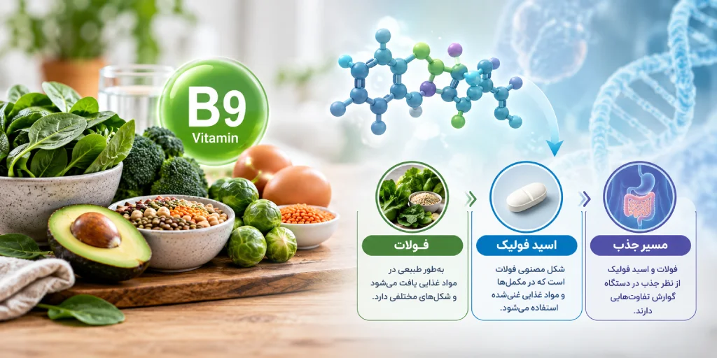 ویتامین b9 چیست